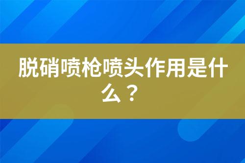 脫硝噴槍的結(jié)構(gòu)是什么樣的？